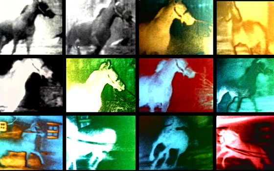 Exposition Le Temps des Images - Berlin Horse - Malcolm Le Grice