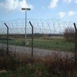 BorderXing Heath Bunting